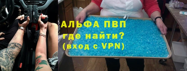 сатива Заволжье