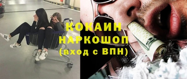 сатива Заволжье