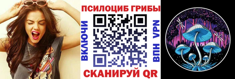 Купить где  Звенигово  Галлюциногенные грибы Psilocybe 